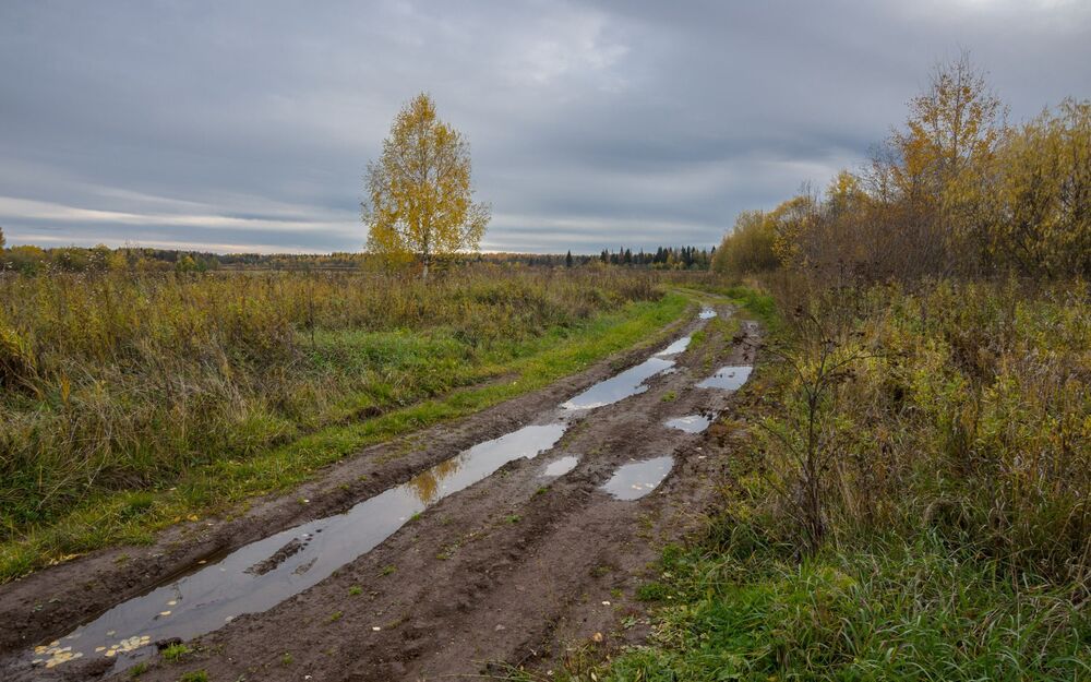 Природа Кировской области