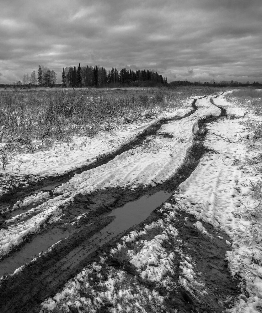 Природа Кировской области