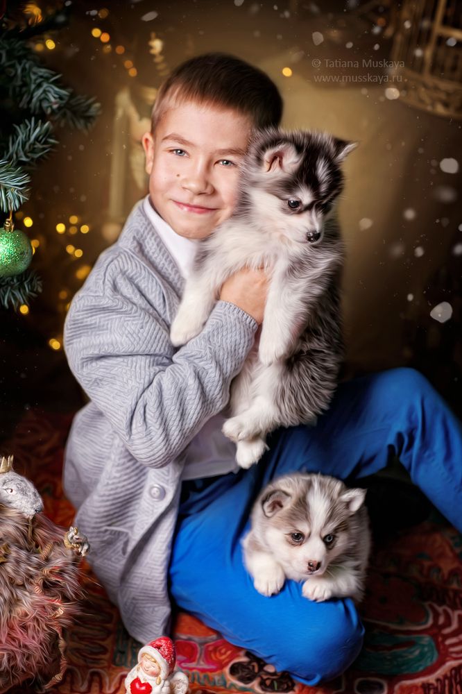 Новогодняя фотосессия