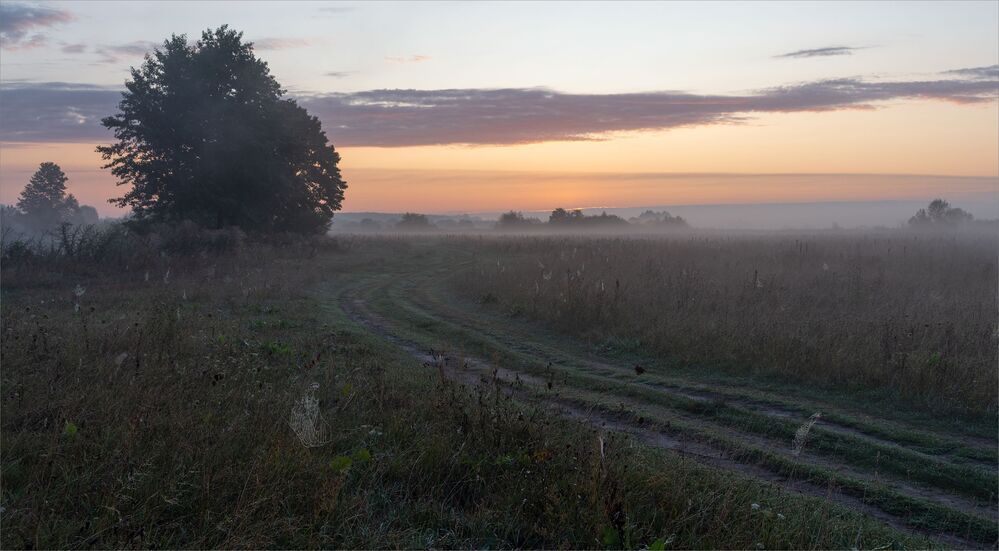 dawns of august...