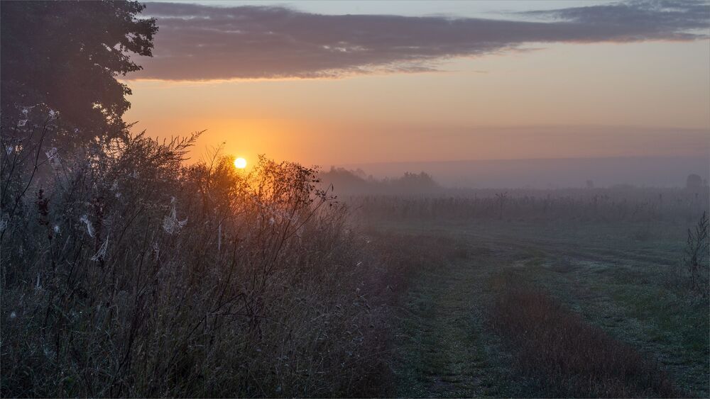 dawns of august...