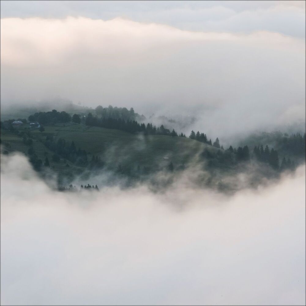 Photo 1816593