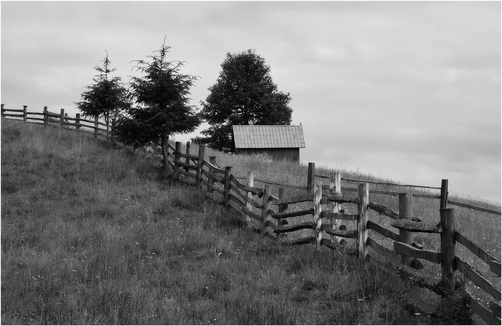 Photo 1816594