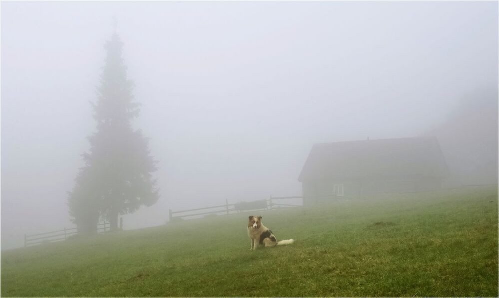 Photo 1816597