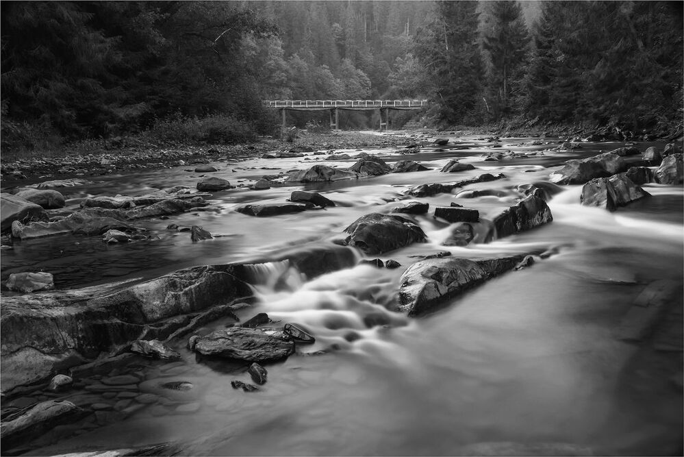 Photo 1816598