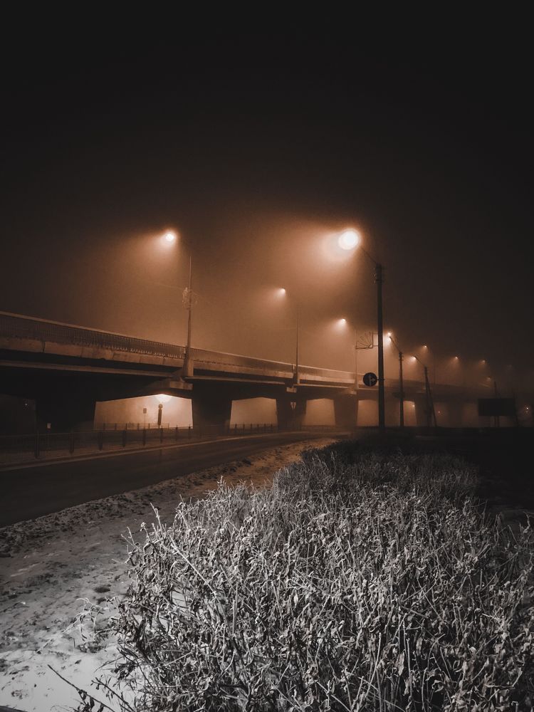 Photo 1817971