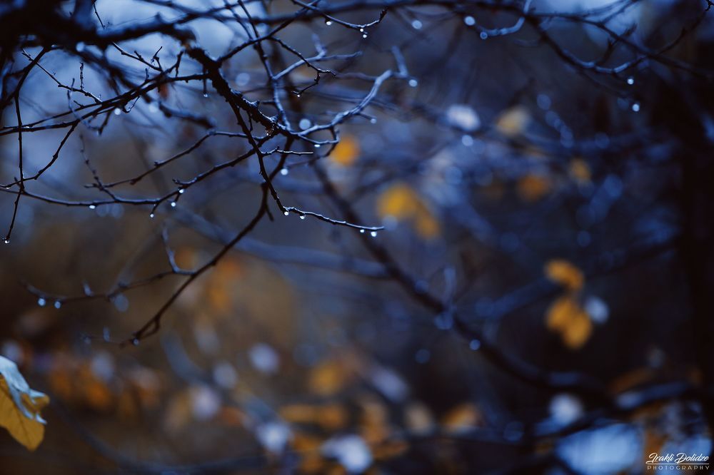Rainy morning