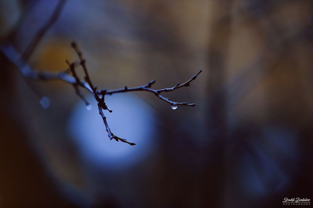 Rainy morning