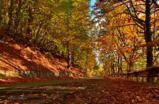 Пошуршать листвой