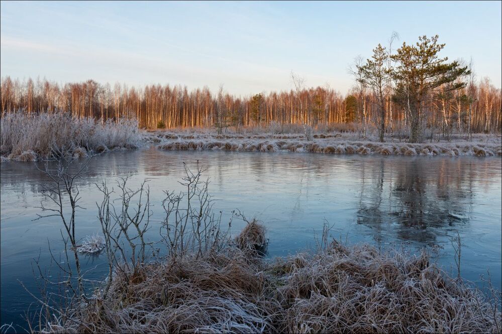 Хрупкая тишина подмороженого утра