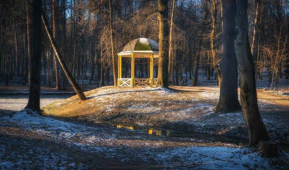 В парке декабрь