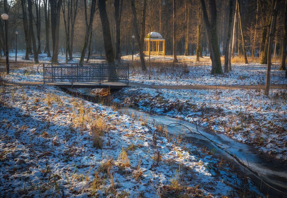 В парке декабрь