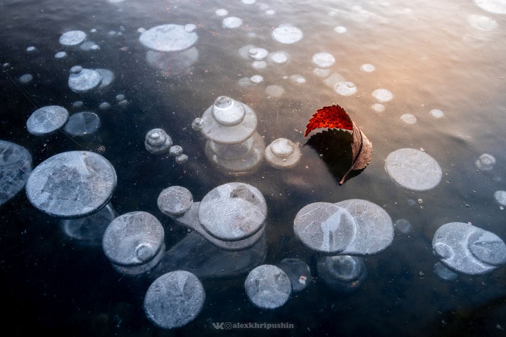 Frozen Bubbles