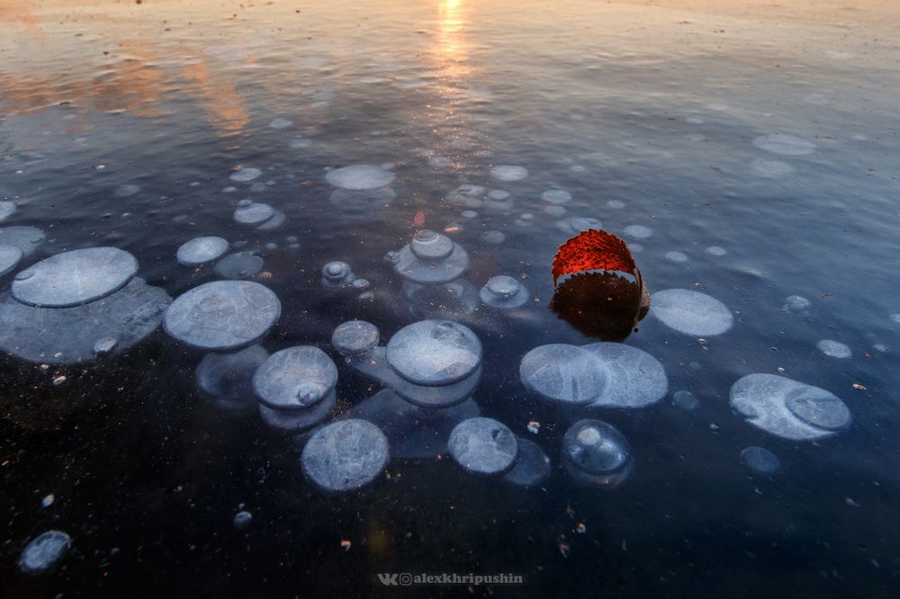 Frozen Bubbles