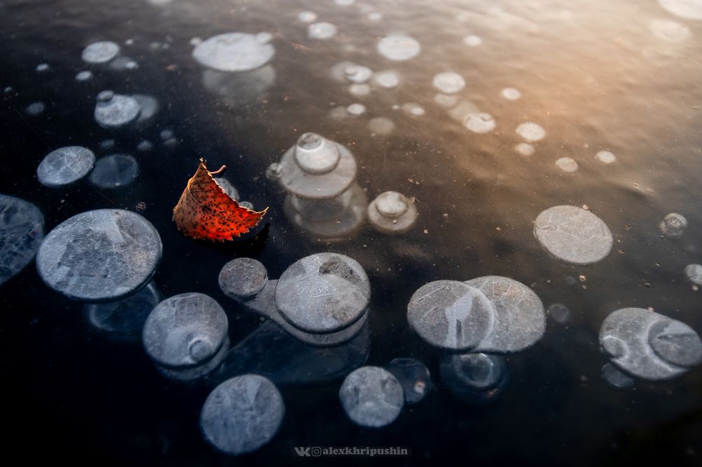 Frozen Bubbles