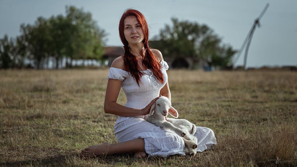 Nine Picture Story-The Lost Lamb