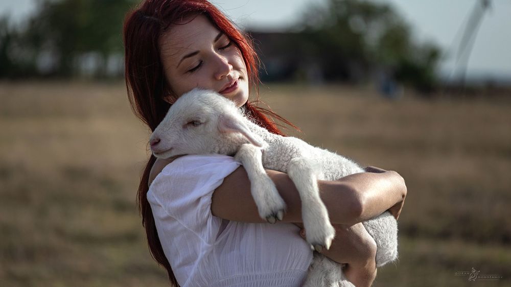 Nine Picture Story-The Lost Lamb