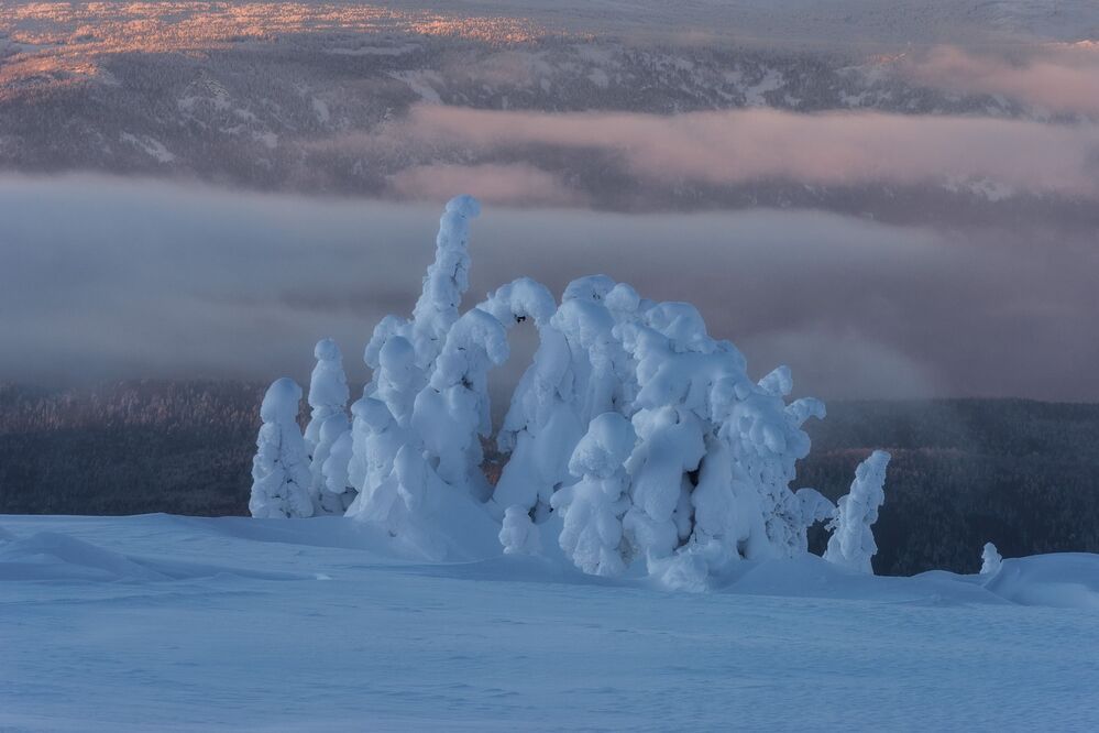 Photo 1819723