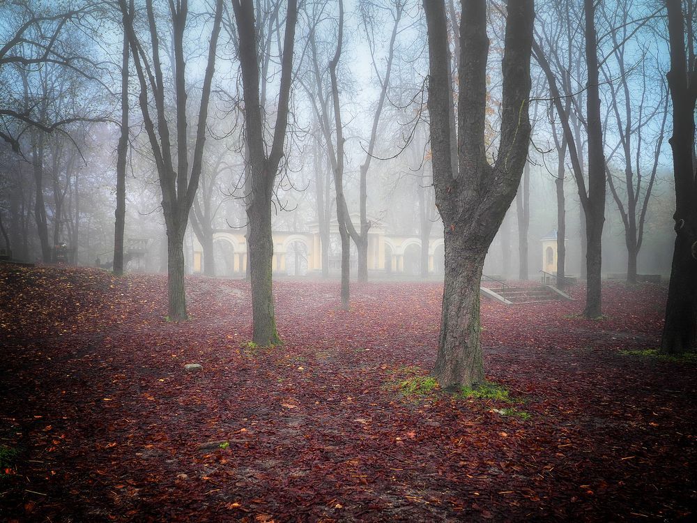 Foggy day