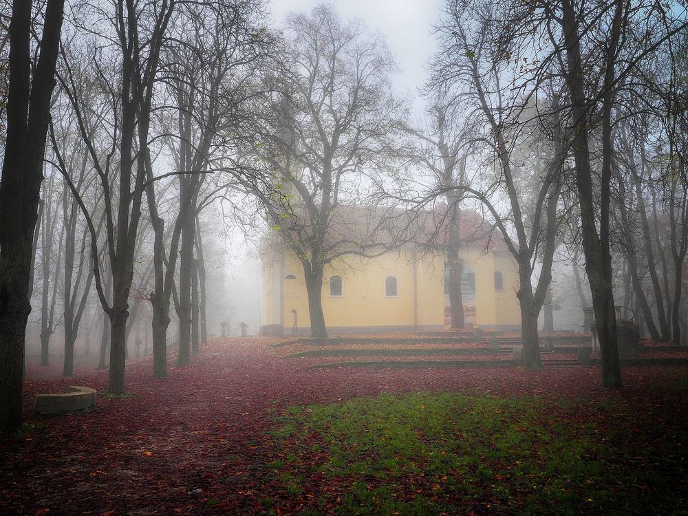 Foggy day