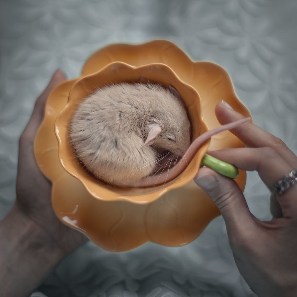 Little Friends