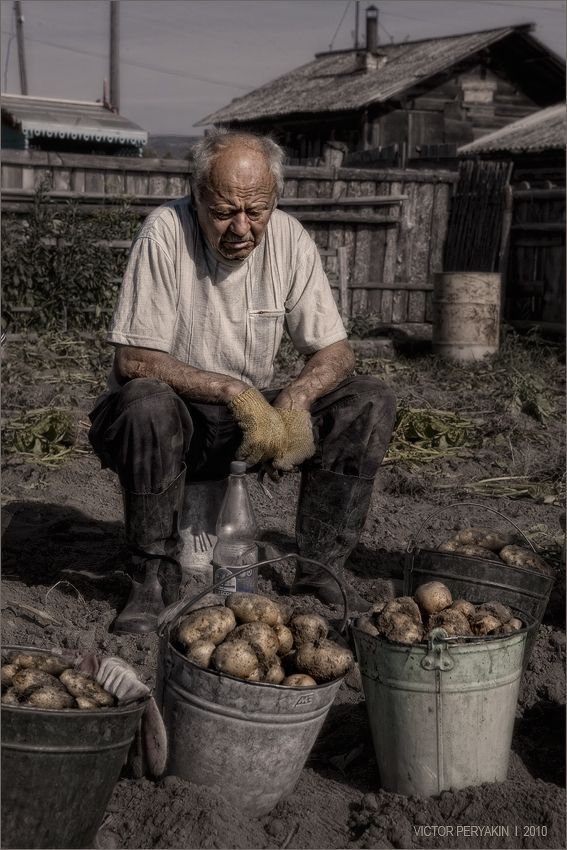 Хороший урожай картошки - главного продукта к столу...
Завершение 3 дневного труда на поле.