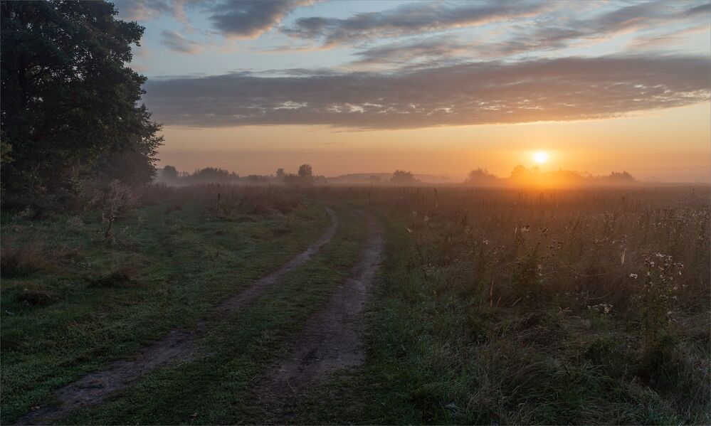 dawn story...