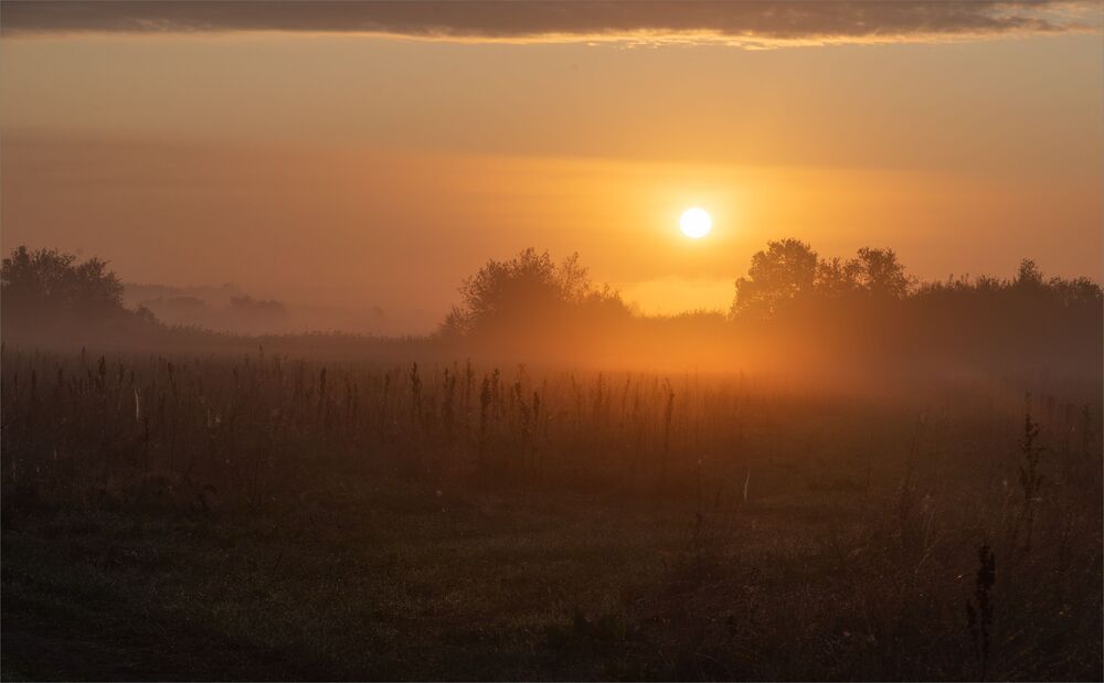 dawn story...