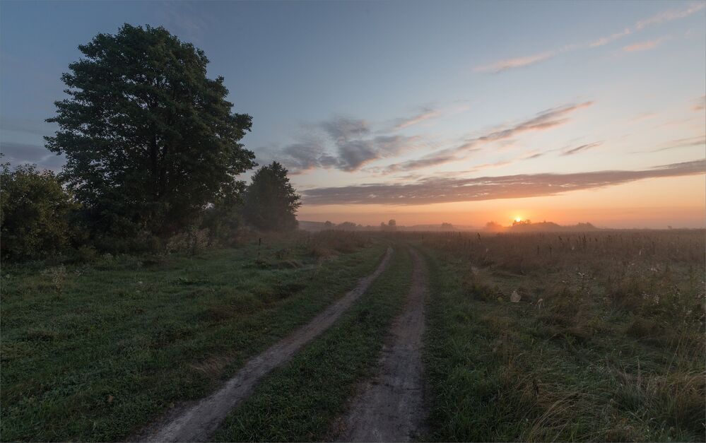 dawn story...