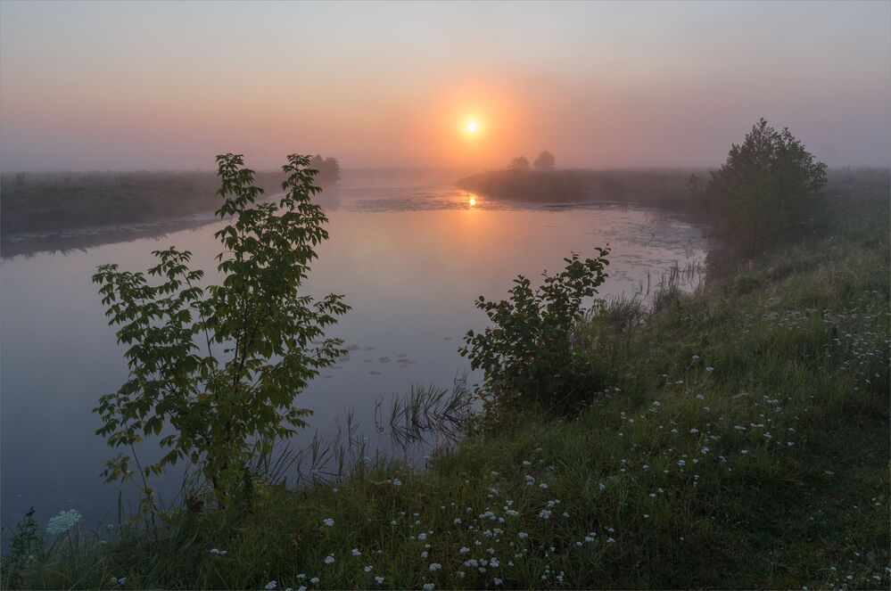 dawn on the oxbows...