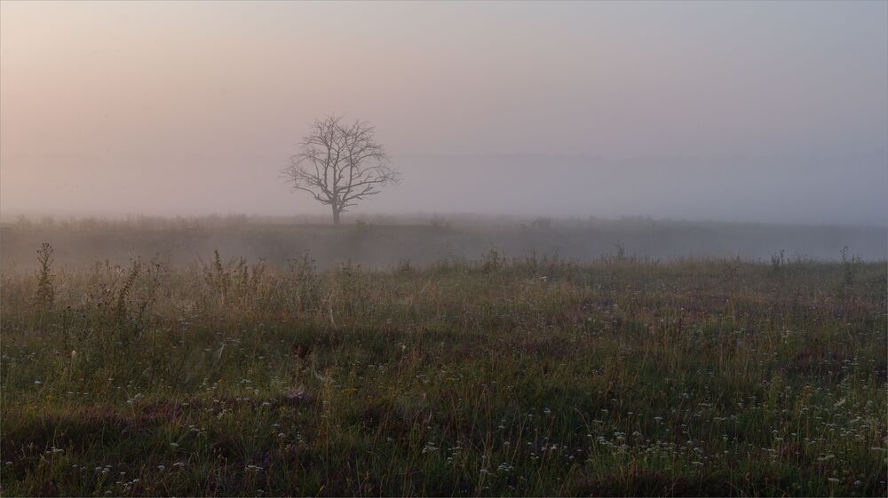 dawn on the oxbows...