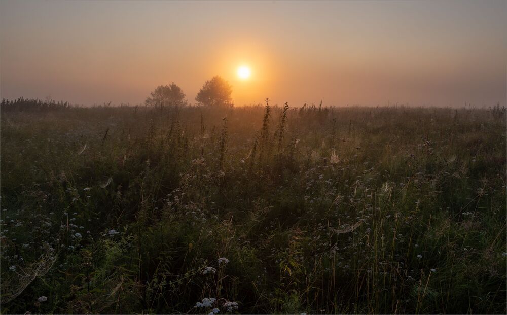dawn on the oxbows...