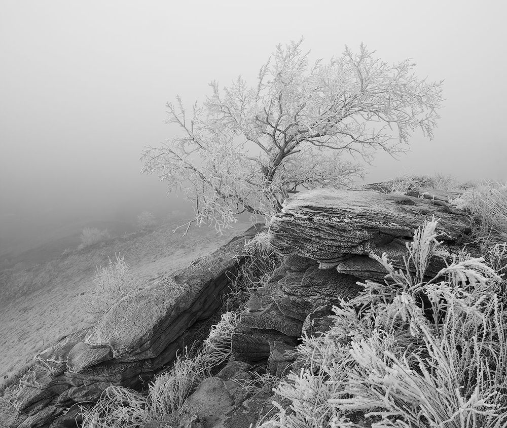 #ProDonbassFog