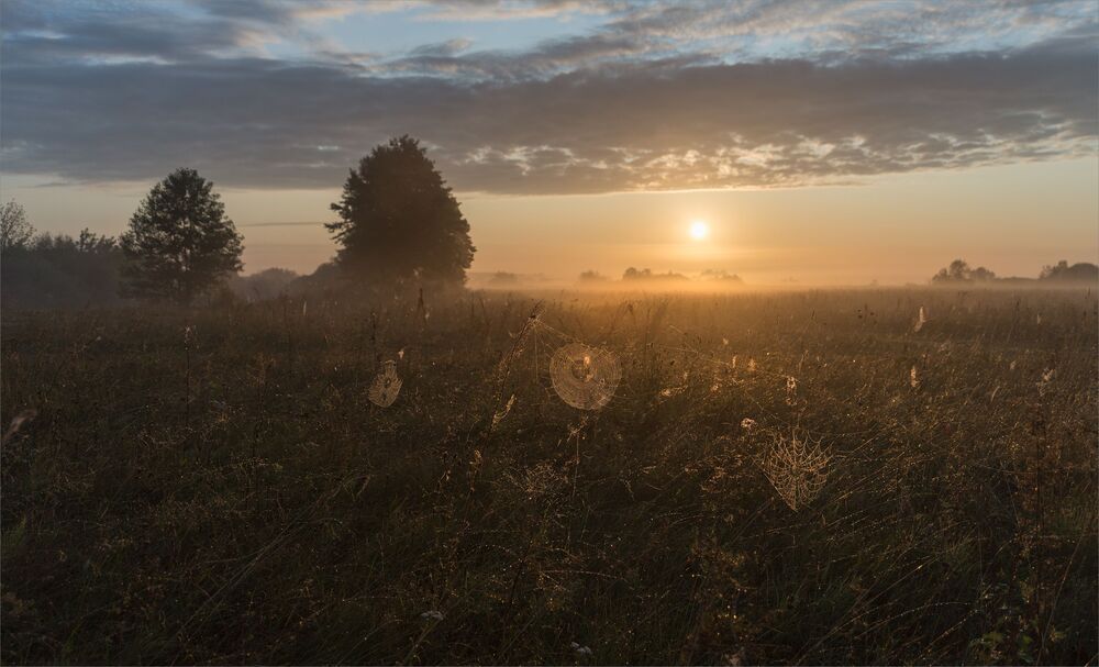 August dawn