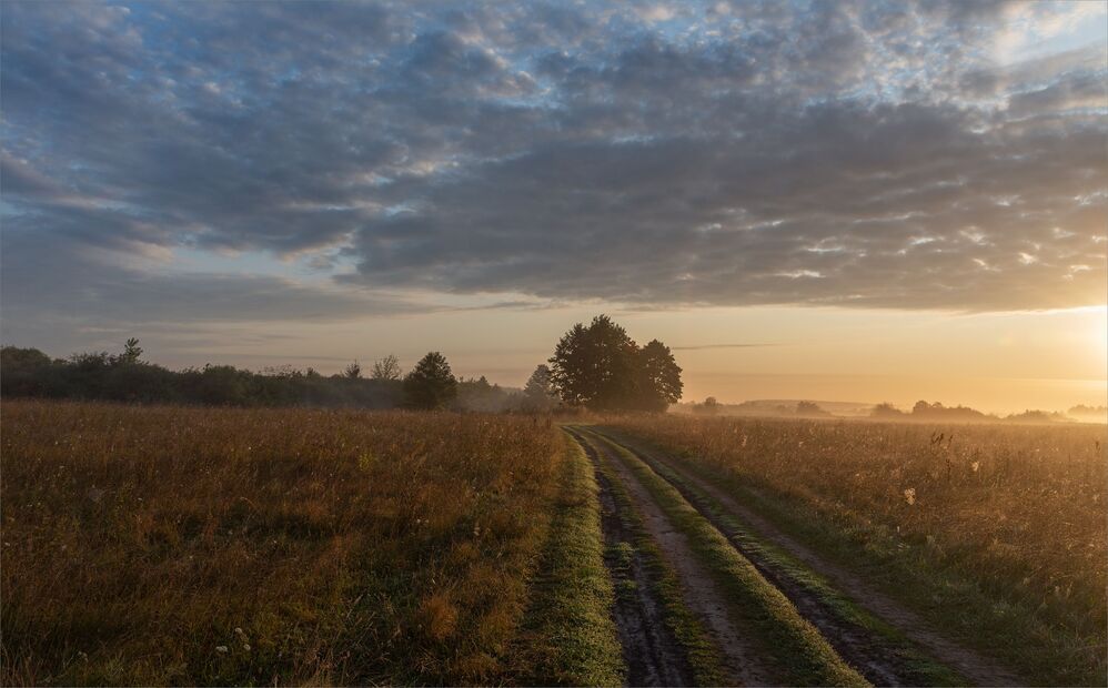 August dawn