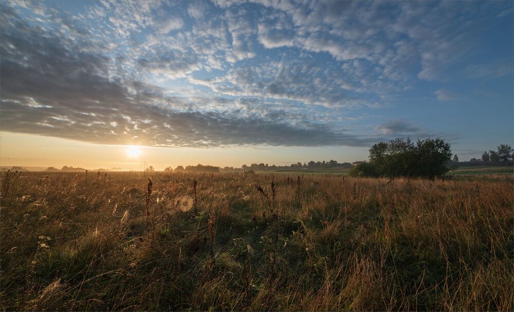 August dawn