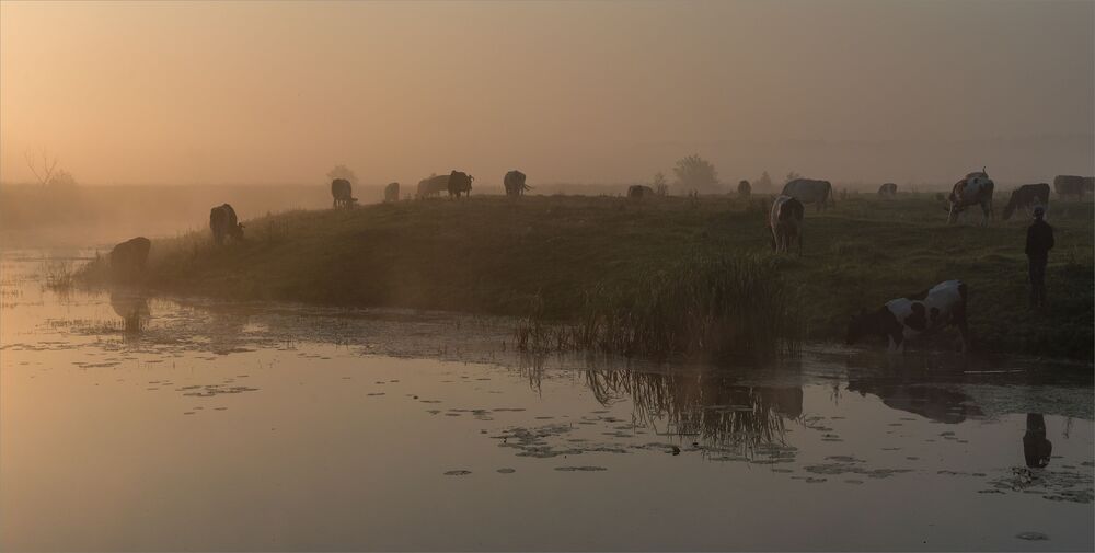 dawn pastoral...