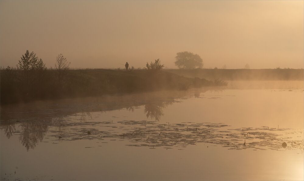 dawn pastoral...
