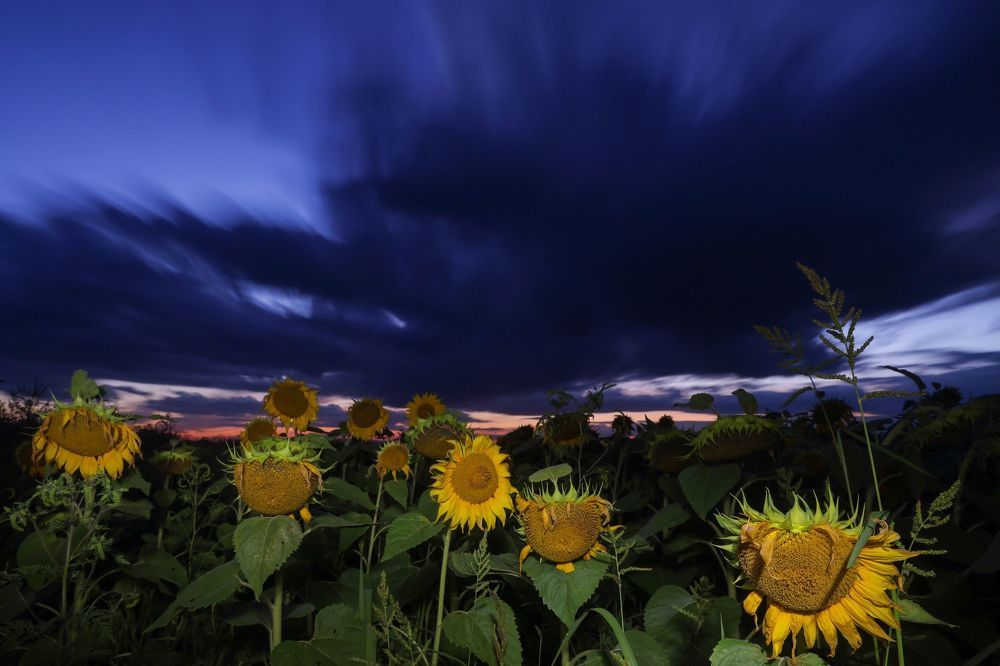 Photo 1825581