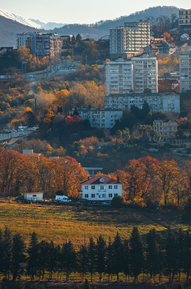 Город Сочи