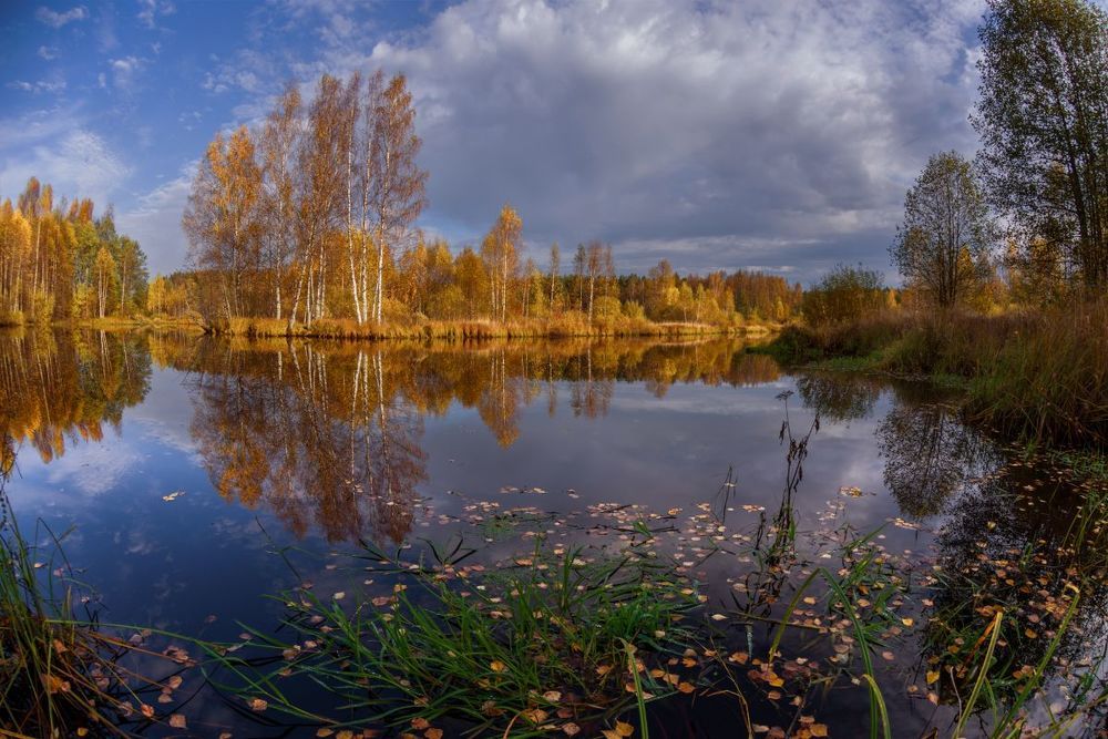про тихую осень