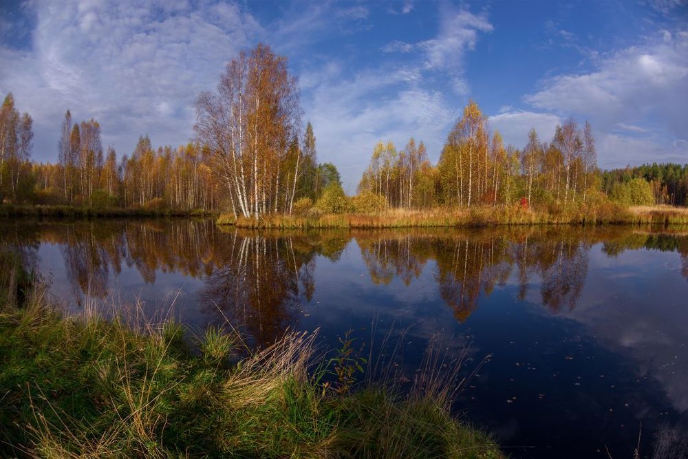 про тихую осень