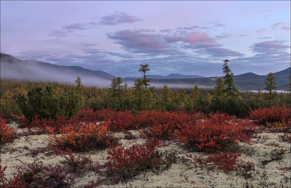 Первые краски на облаках