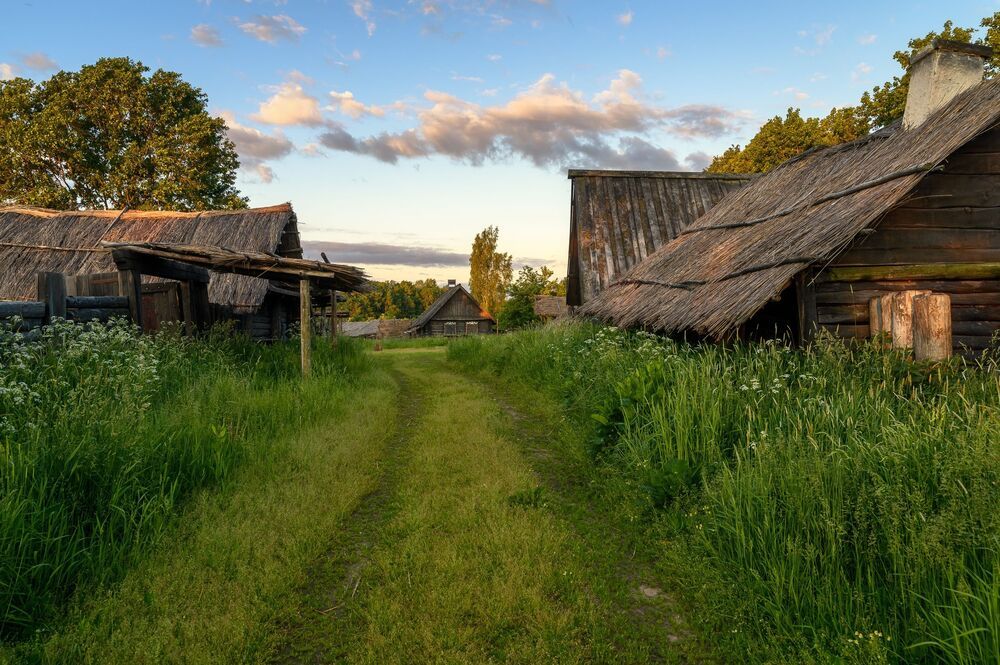 Утро в Урочище Лосковское