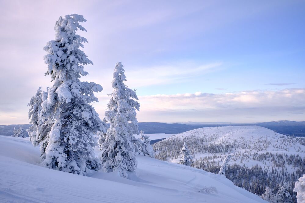 Заполярные дали