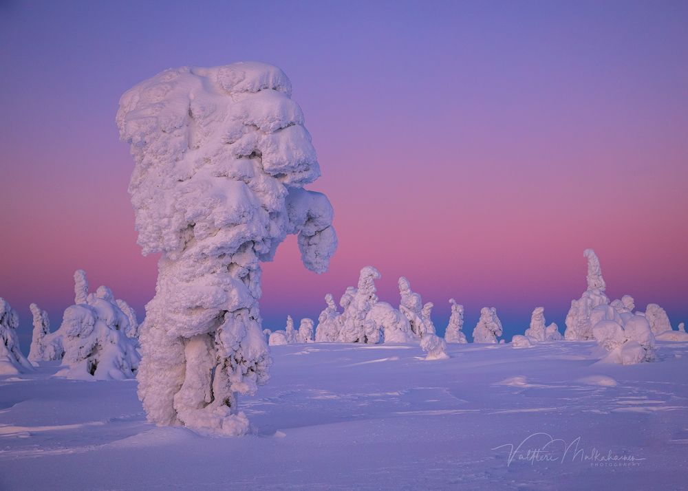 Зимняя Лапландия.