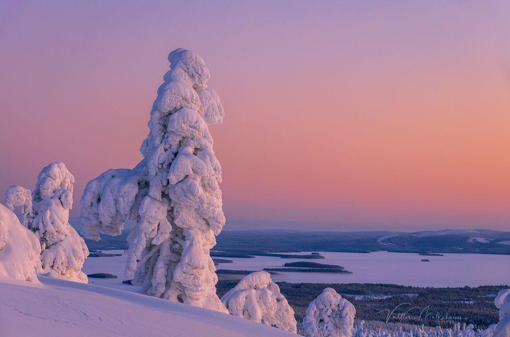 Зимняя Лапландия.