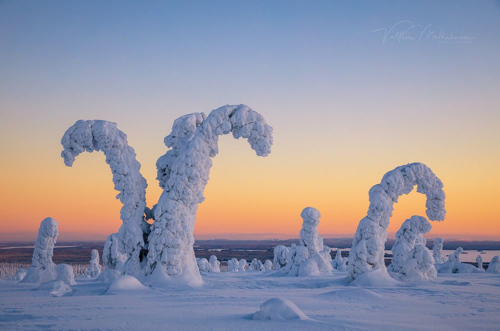 Зимняя Лапландия.
