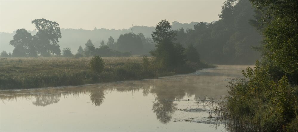 dawn pastoral...