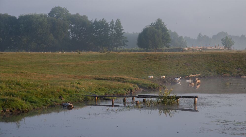 dawn pastoral...